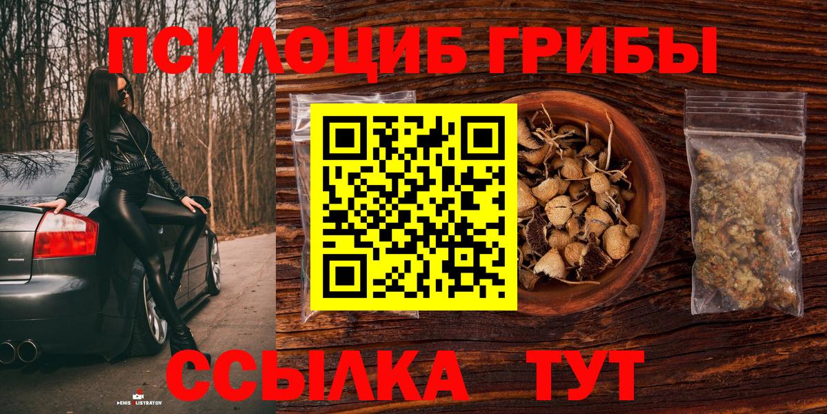 Псилоцибиновые грибы прущие грибы  Вход с VPN  Истра  Галлюциногенные грибы Psilocybine cubensis 
